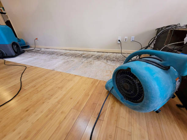 Professional Water Damage Repair technician working in Jasper, GA